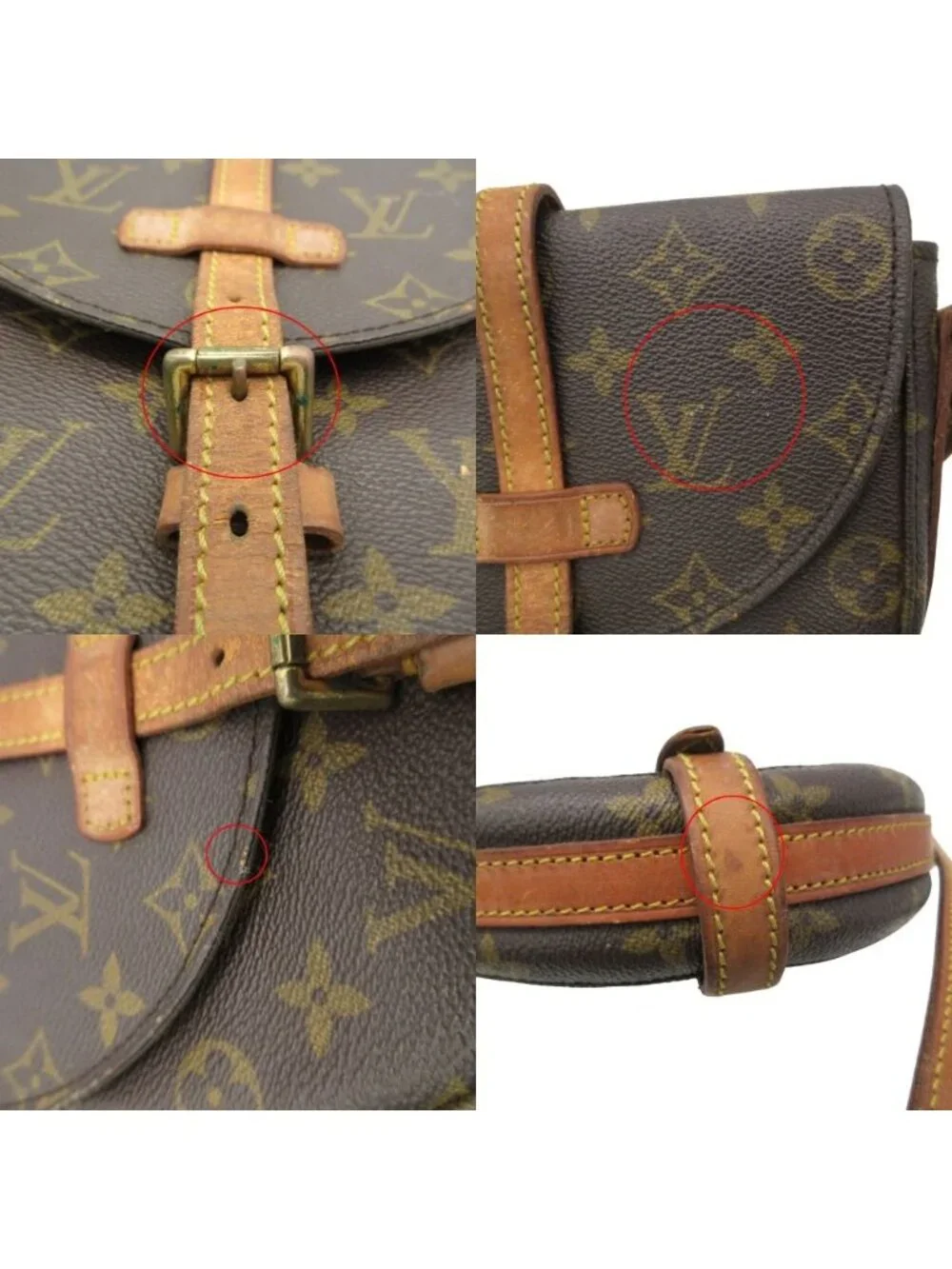 Louis Vuitton Shoulder Bag Monogram Chien PM Crossbody All Over Pattern Logo